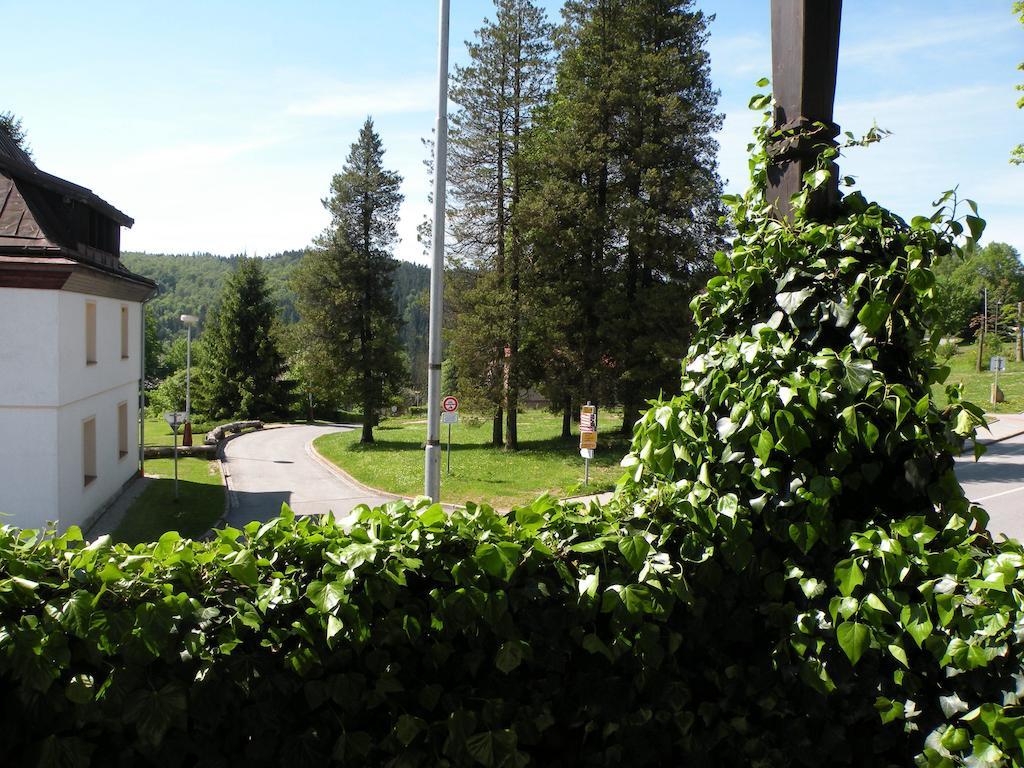 Hotel Lesni Dum Janske Lazne Ruang foto